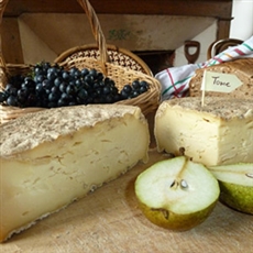 Fromage naturel au levain - Fabriquez son fromage maison sans présure