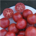 Graines de tomate rose de Berne