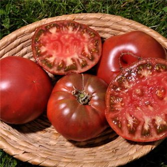 Graines de tomate noire russe de Crimée